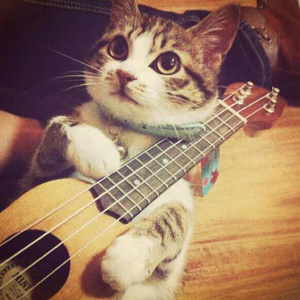 被三个黑人玩成了烂货
